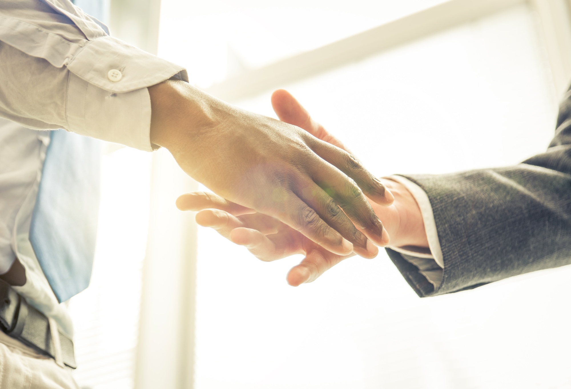 Partners Companies ; Powering Transparency &Amp; Innovation